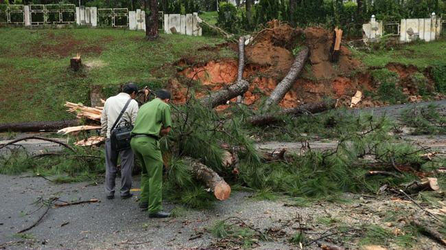 Sạt lở trong mưa to, Đà Lạt yêu cầu khách sạn di dời du khách - 3