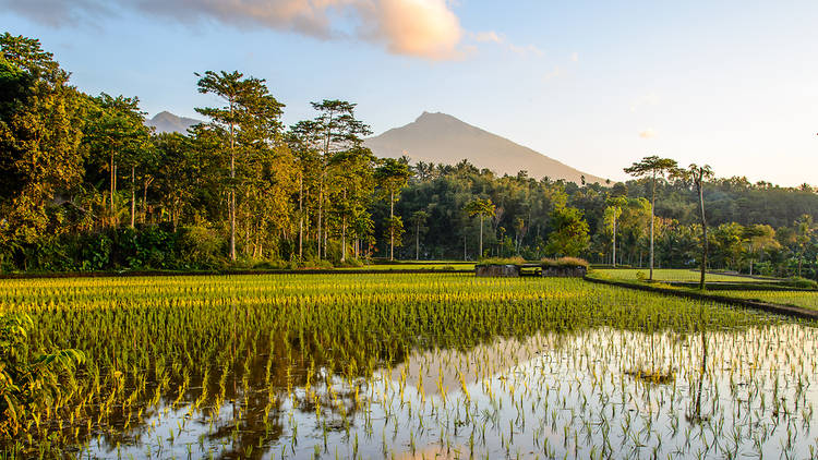 Du khách choáng ngợp trước những hòn đảo đẹp mê ly, nhiều nơi ngay gần Việt Nam - 12