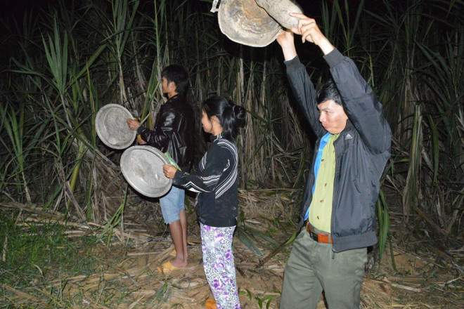 Voi rừng về khu dân cư, liên tục dí người dân chạy thục mạng - 4