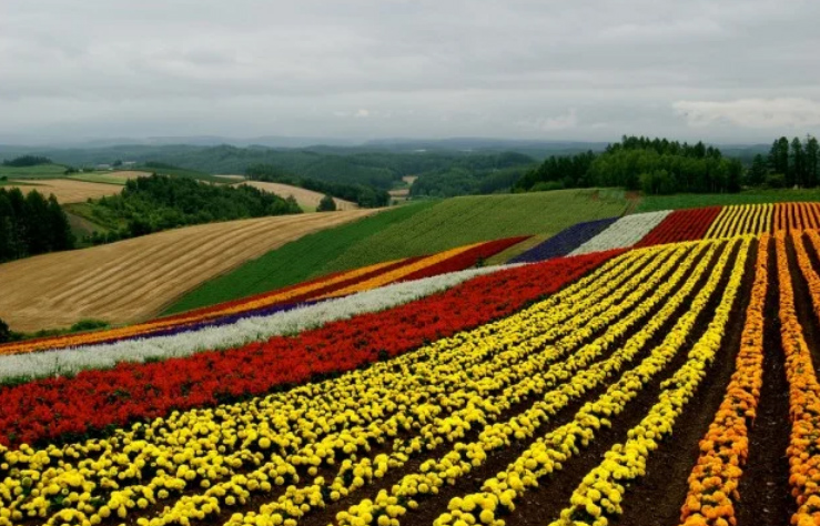 Những ngôi làng độc đáo nhất châu Á bạn nhất định đừng bỏ lỡ - 4
