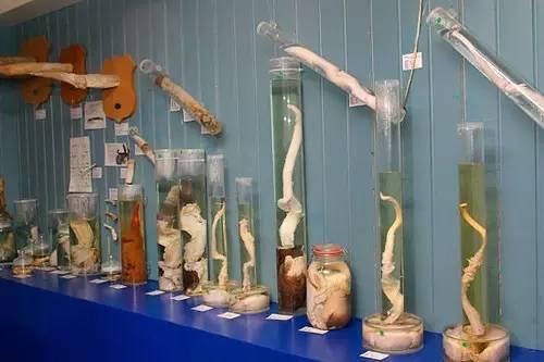 10 điểm du lịch kỳ quái trên thế giới - 11