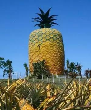 10 điểm du lịch kỳ quái trên thế giới - 14