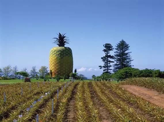 10 điểm du lịch kỳ quái trên thế giới - 15