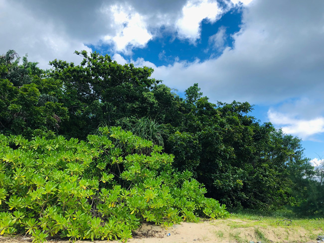Bật mí về bãi biển Bí Mật, điểm checkin siêu chất, siêu ảo ở Côn Đảo không phải ai cũng biết - 16