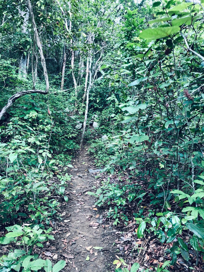 Bật mí về bãi biển Bí Mật, điểm checkin siêu chất, siêu ảo ở Côn Đảo không phải ai cũng biết - 6