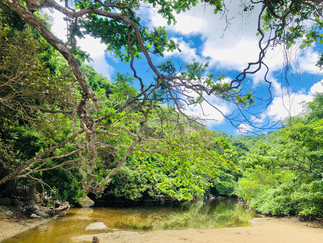 Bật mí về bãi biển Bí Mật, điểm checkin siêu chất, siêu ảo ở Côn Đảo không phải ai cũng biết - 10