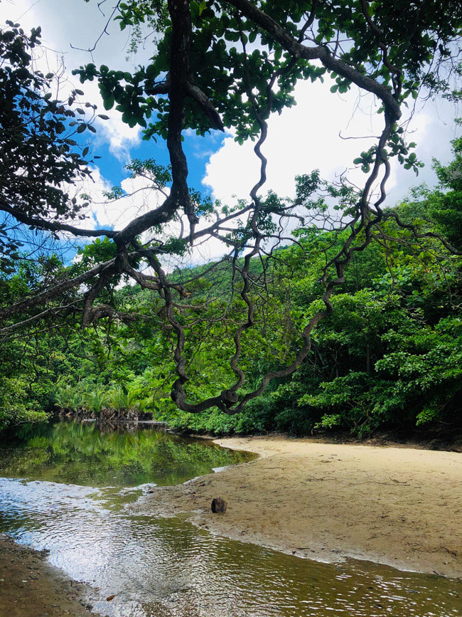 Bật mí về bãi biển Bí Mật, điểm checkin siêu chất, siêu ảo ở Côn Đảo không phải ai cũng biết - 11