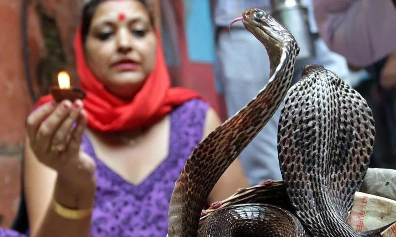 Những lễ hội, nghi lễ kỳ lạ ở Ấn Độ khiến du khách sốc nặng - 2