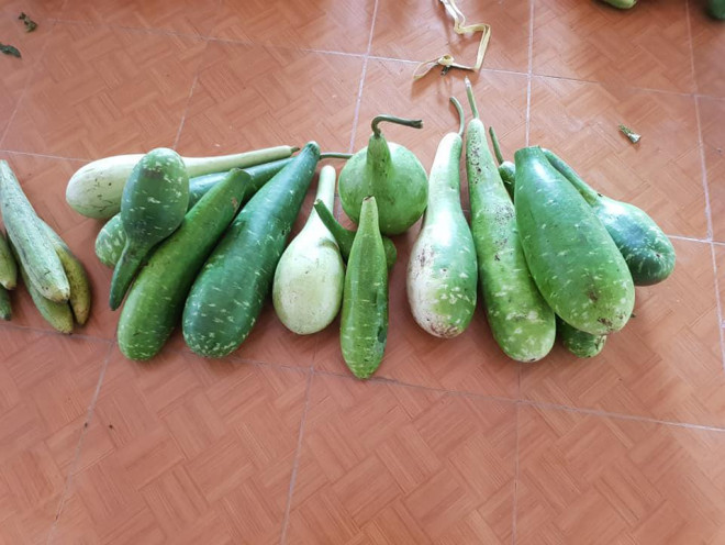 "Rụng tim" với những thức quà bà con huyện nghèo gửi xuống Đà Nẵng - 7