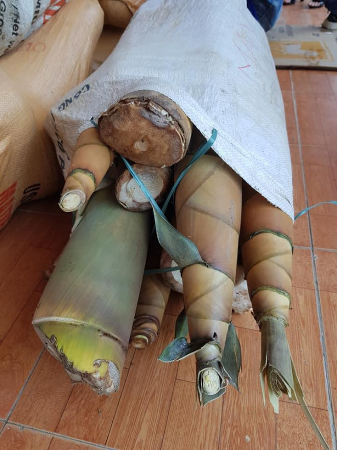 "Rụng tim" với những thức quà bà con huyện nghèo gửi xuống Đà Nẵng - 10