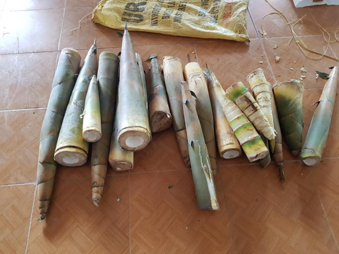 "Rụng tim" với những thức quà bà con huyện nghèo gửi xuống Đà Nẵng - 14