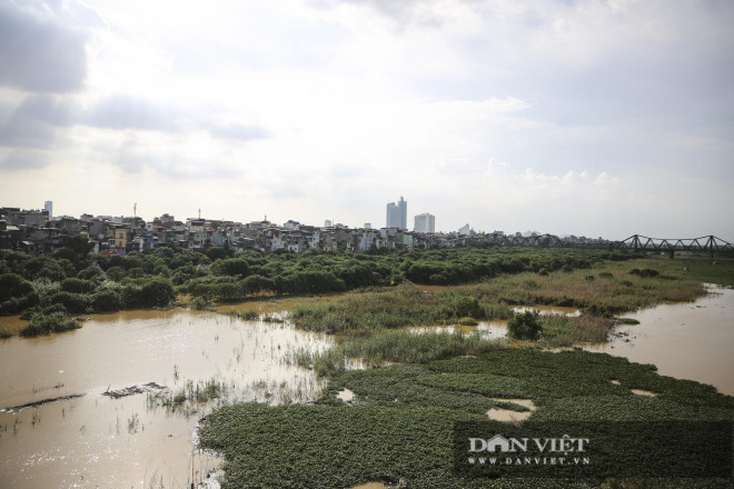 Trung Quốc xả lũ sông Hồng, người dân bất chấp nguy hiểm ra bơi - 6