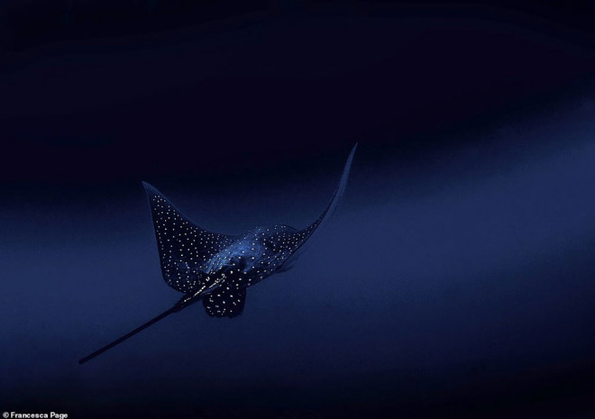 Những bức ảnh du lịch ấn tượng nhất năm 2020 - 9