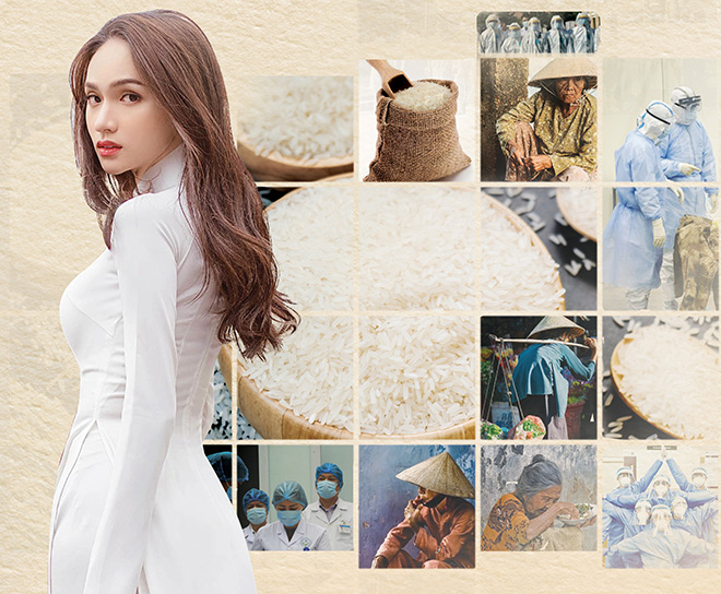 Hoa hậu Hương Giang quyên góp 10 tấn gạo giúp Đà Nẵng chống dịch Covid-19 - 1
