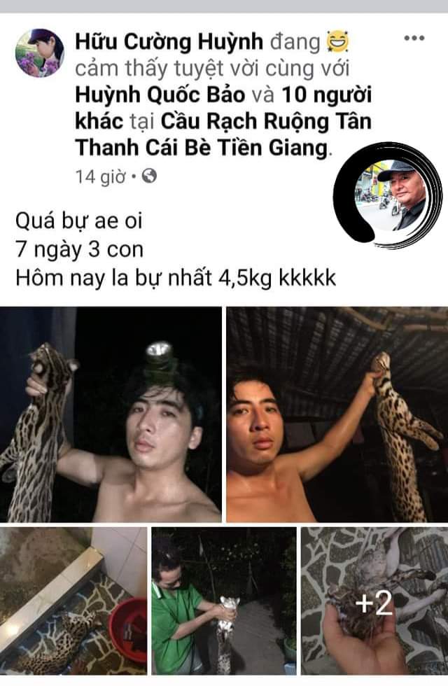 Đã có kết quả xác minh vụ giết mèo rừng rồi khoe &#34;chiến tích&#34; trên Facebook - 1
