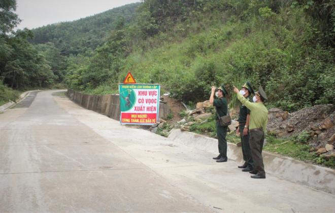 Voọc gáy trắng tấn công hàng loạt người: Đề nghị hỗ trợ chó Becgie xua đuổi - 2