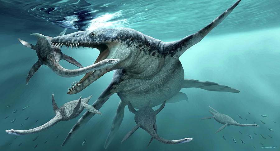 Những thông tin thú vị về cá mập Megalodon  Công Nghệ Số Hóa