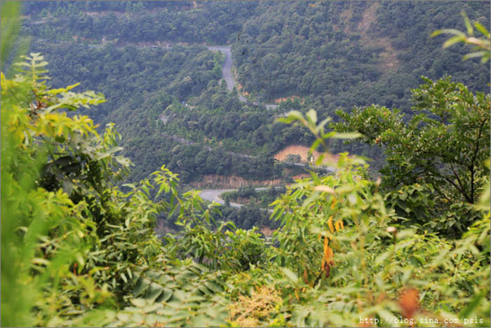 Chỉ cao 700m nhưng du khách phải oằn mình với 66 khúc cua khi leo lên ngọn núi này - 3