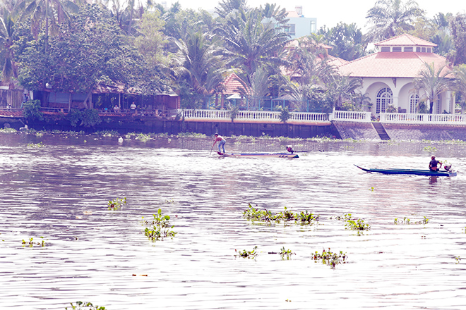 Vu Lan, người Sài Gòn ngao ngán nhìn cá vừa phóng sinh bị chích điện, bắt lại - 17