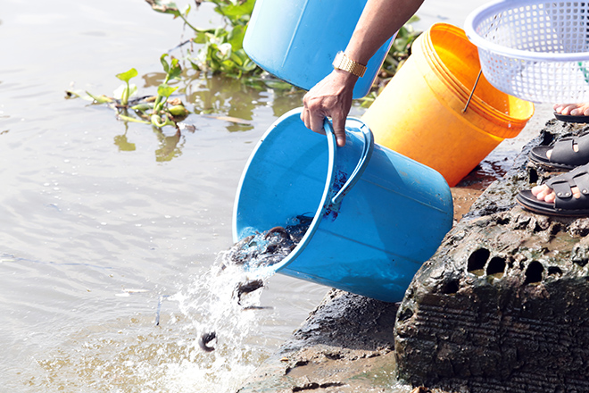 Vu Lan, người Sài Gòn ngao ngán nhìn cá vừa phóng sinh bị chích điện, bắt lại - 8