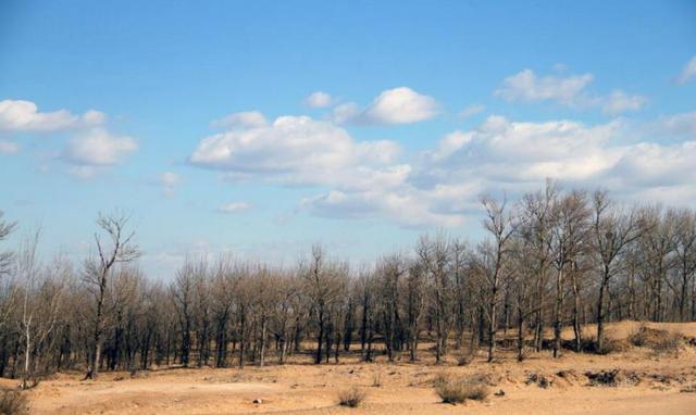 Sa mạc nhỏ nhất TQ nhưng có 300 bộ phim đã quay tại đây, thậm chí có cả Tây Du Ký - 3