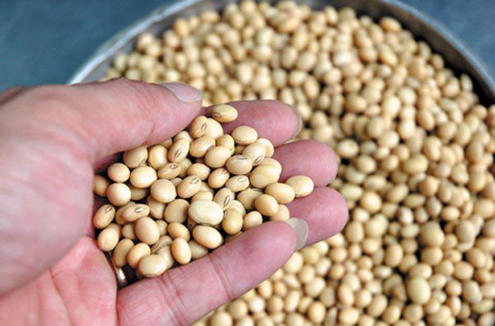 Thực phẩm không nên sử dụng trước khi "yêu" - 1
