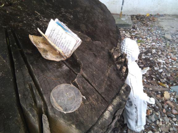 Đau đớn tìm hũ cốt người thân ở chùa Kỳ Quang 2, thấy bài vị - di ảnh vứt khắp nơi - 8