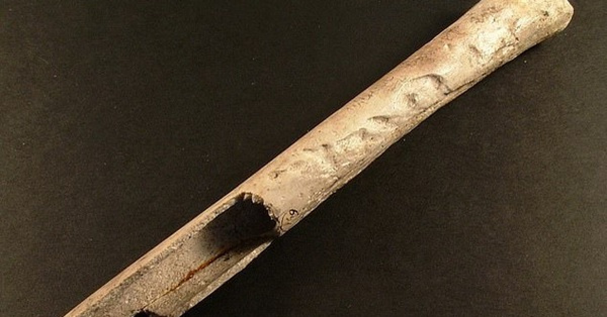 Sốc với "người đẹp" 4.500 tuổi mang theo xương người khác vào mộ - 2