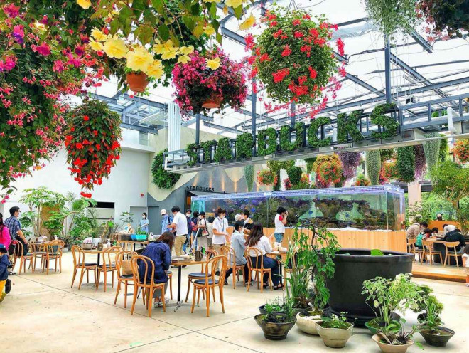 Bên trong cửa hàng Starbucks nhà kính ngàn hoa “đốn tim” các tín đồ sống ảo ở Nhật Bản - 3