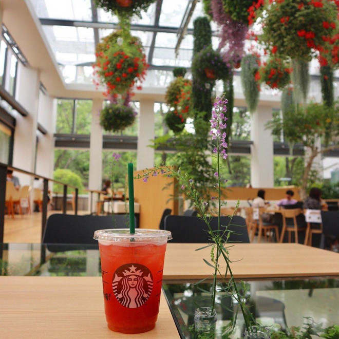 Bên trong cửa hàng Starbucks nhà kính ngàn hoa “đốn tim” các tín đồ sống ảo ở Nhật Bản - 9