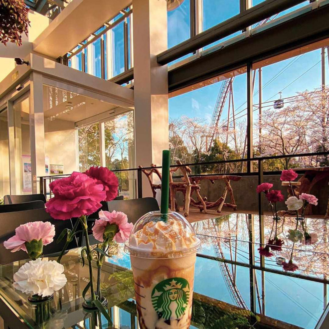 Bên trong cửa hàng Starbucks nhà kính ngàn hoa “đốn tim” các tín đồ sống ảo ở Nhật Bản - 10