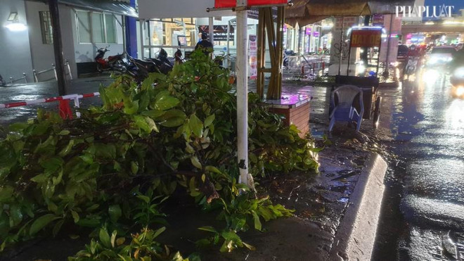 Cây bật gốc, tét nhánh đè nhiều người đi đường ở Gò Vấp - 4