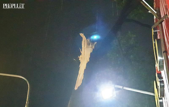 Cây bật gốc, tét nhánh đè nhiều người đi đường ở Gò Vấp - 6