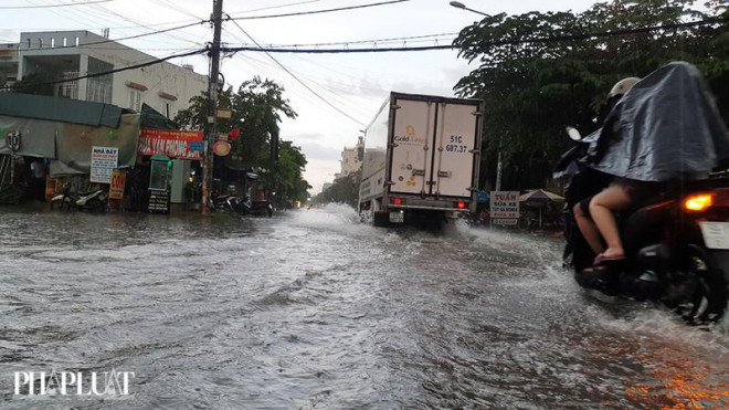 Cây bật gốc, tét nhánh đè nhiều người đi đường ở Gò Vấp - 11