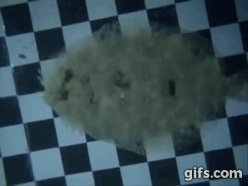 Người Hàn Quốc đã tạo nên tòa tháp vô hình độc nhất trên thế giới như thế nào? - 3