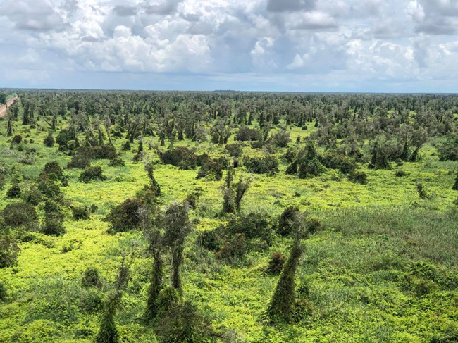 Đi rẻ, chơi khỏe 2 ngày 1 đêm đã đời ở Cà Mau chỉ với 1 triệu đồng - 11