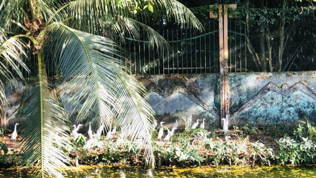 Đi rẻ, chơi khỏe 2 ngày 1 đêm đã đời ở Cà Mau chỉ với 1 triệu đồng - 14