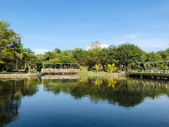 Đi rẻ, chơi khỏe 2 ngày 1 đêm đã đời ở Cà Mau chỉ với 1 triệu đồng - 18