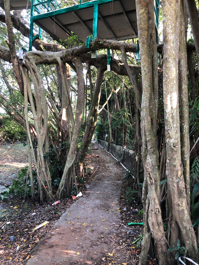 Đi rẻ, chơi khỏe 2 ngày 1 đêm đã đời ở Cà Mau chỉ với 1 triệu đồng - 19