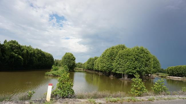 Đi rẻ, chơi khỏe 2 ngày 1 đêm đã đời ở Cà Mau chỉ với 1 triệu đồng - 24