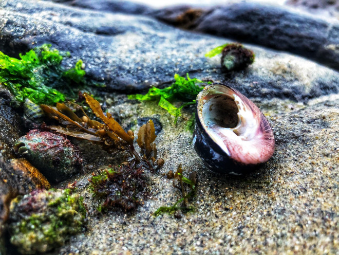 Đến ghềnh Nam Ô mùa vắng rêu - 7