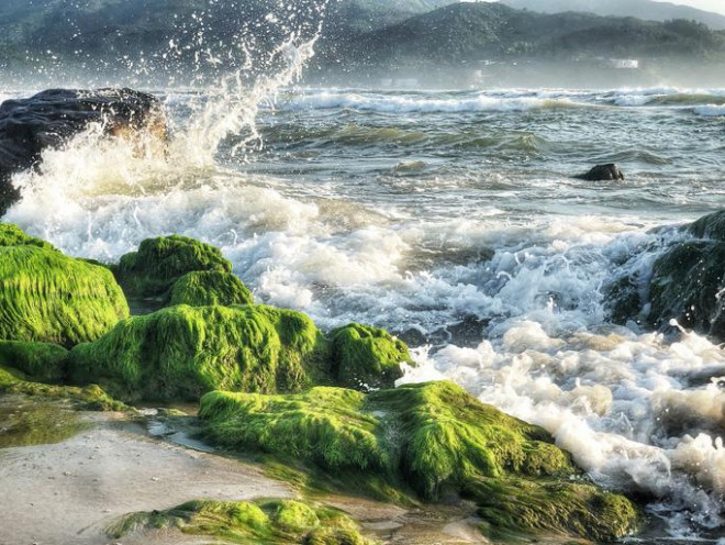 Đến ghềnh Nam Ô mùa vắng rêu - 6