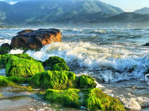 Đến ghềnh Nam Ô mùa vắng rêu - 9