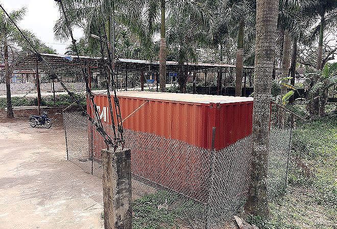 Hai cây gỗ sưa từng được trả giá trăm tỉ ở Hà Nội bây giờ ra sao? - 2