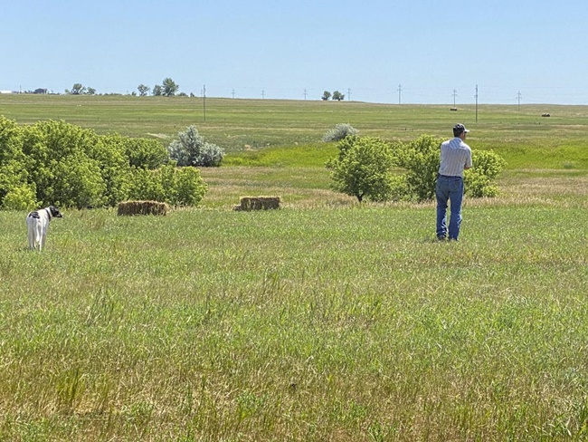 Sau khi trúng giải, Neal Wanless vẫn chuẩn bị cỏ khô cho gia đình và làm các việc xung quanh trang trại. Anh chàng này từng chia sẻ yêu công việc làm nông, yêu chăn nuôi dù chăn nuôi là vất vả nhưng yêu công việc này thì không có gì khó khăn.
