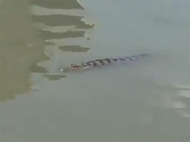 Tin tức 24h qua: Nấu cháo gà nguyên lông, con trai bà Tân Vlog bị phạt nặng - 4