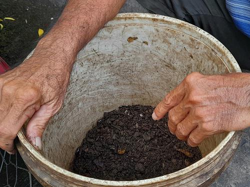 Chuyện đời của cặp vợ chồng “dị nhân” hơn 20 năm săn gián giữa Sài thành - 2