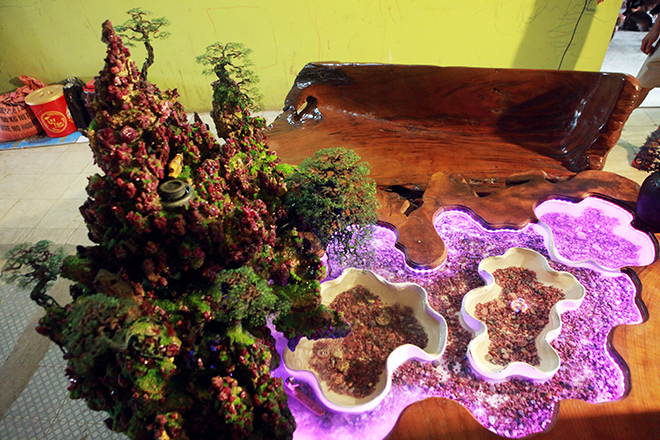 Bàn đá gắn hàng nghìn viên đá quý, độc đáo nhất Việt Nam - 10