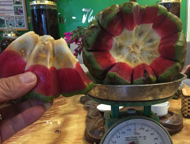 Được mệnh danh "thần dược phòng the", na rừng Tây Bắc đắt gấp 3 lần na thường vẫn "cháy hàng" - 1
