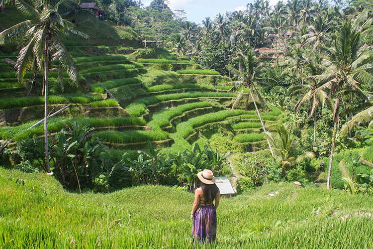 Đến Bali mà bỏ qua nơi này thì phí cả chuyến đi - 1